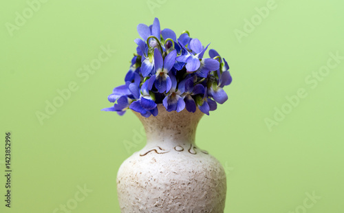 Obraz na płótnie a bouquet of violets w salonie