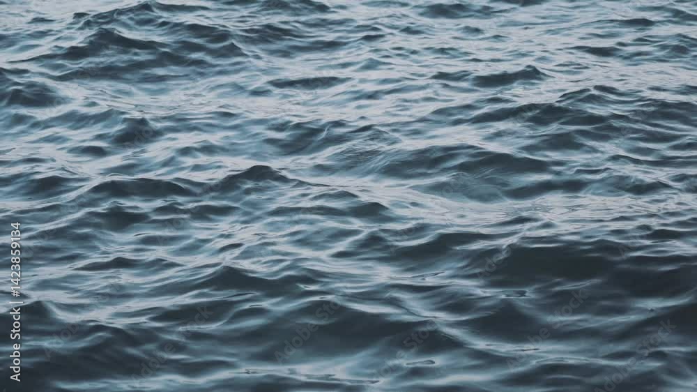 Blue Water Surface Blue Water Surface