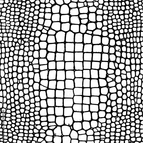 Seamless pattern of alligator skin on a white background