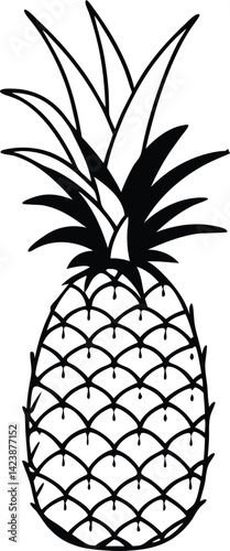 pineapple tropical fruits isolated on white background