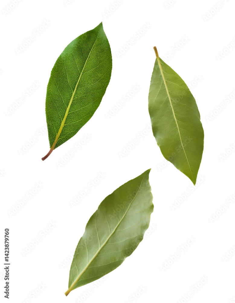 Naklejka premium Three fresh bay leaves falling against a transparent background, ideal for food and cooking projects