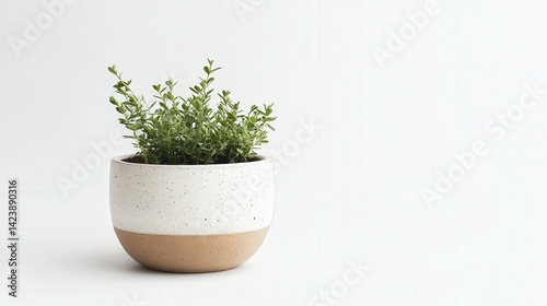 Wallpaper Mural A stock photo with a clean white background and simple composition, offering a fresh and effective setting for various creative uses. Torontodigital.ca