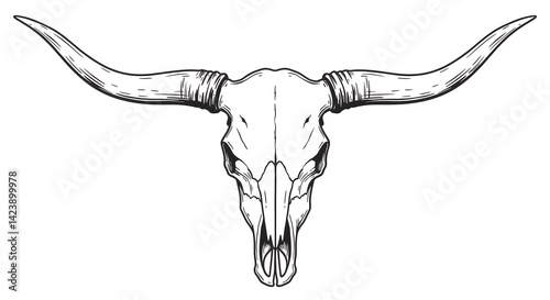 Longhorn cattle skull line art illustration graphic design element