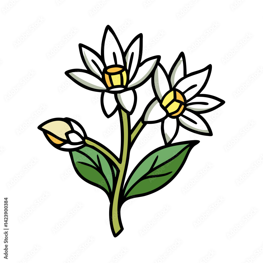 Naklejka premium anemopsis yerba mansa flower icon, anemopsis yerba mansa flower vector illustration-simple illustration of anemopsis yerba mansa flower, perfect for anemopsis yerba mansa flower logos and icons