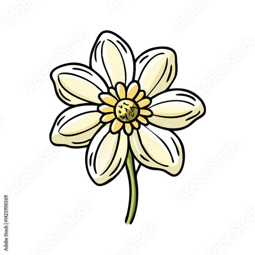 anemopsis yerba mansa flower icon, anemopsis yerba mansa flower vector illustration-simple illustration of anemopsis yerba mansa flower, perfect for anemopsis yerba mansa flower logos and icons