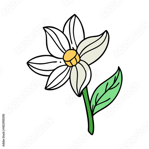 anemopsis yerba mansa flower icon, anemopsis yerba mansa flower vector illustration-simple illustration of anemopsis yerba mansa flower, perfect for anemopsis yerba mansa flower logos and icons