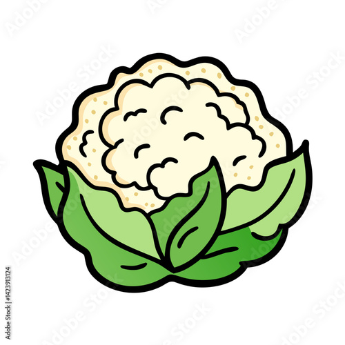 cauliflower icon, cauliflower vector illustration-simple illustration of cauliflower, perfect for cauliflower logos and icons