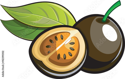 A vibrant vector art illustration of a delicious black sapote fruit, showcasing rich colors and realistic details in a fresh composition.