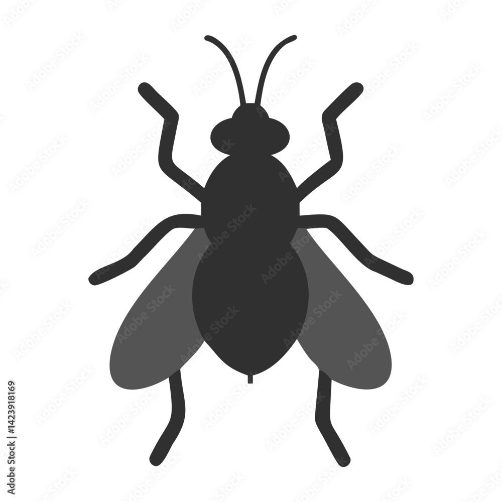 Black Fly Vector Illustration Isolated on Transparent background Black Fly Vector Illustration Isolated on Transparent background