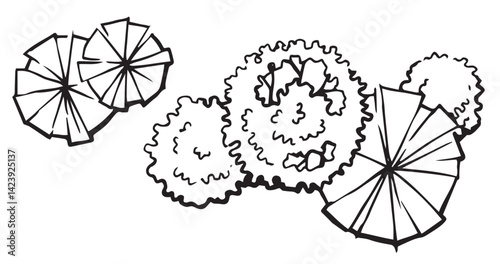 	
top view composition of trees, hand drawn. architectural ink drawing, vector.