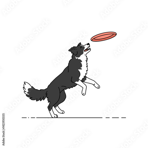 Border collie jumping for a frisbee, capturing athleticism and joyful playtime