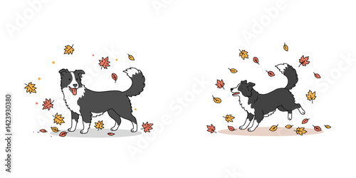 Border collie playing in autumn leaves, symbolizing seasonal joy and pet companionship