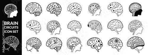 brain circuits icon set, illustration of brains in vector, black and white shapes of brain in vector ,Brain circuits