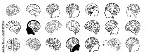 brain circuits icon set, illustration of brains in vector, black and white shapes of brain in vector ,Brain circuits