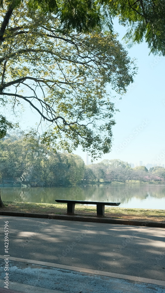 custom made wallpaper toronto digitalEmpty bench at Ibirapuera Park on a sunny day, surrounded by trees and nature. A peaceful scene capturing the calm atmosphere of São Paulo’s most iconic urban park.