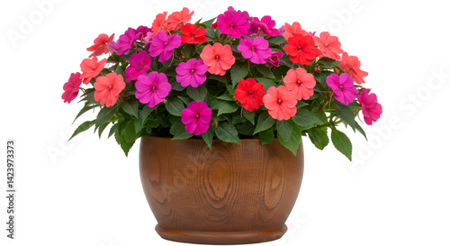 Wallpaper Mural Colorful flower pot garden bloom Torontodigital.ca