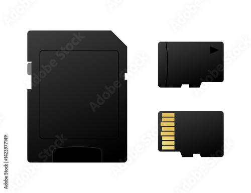 Sd card and micro sd card with adapter showing their front side