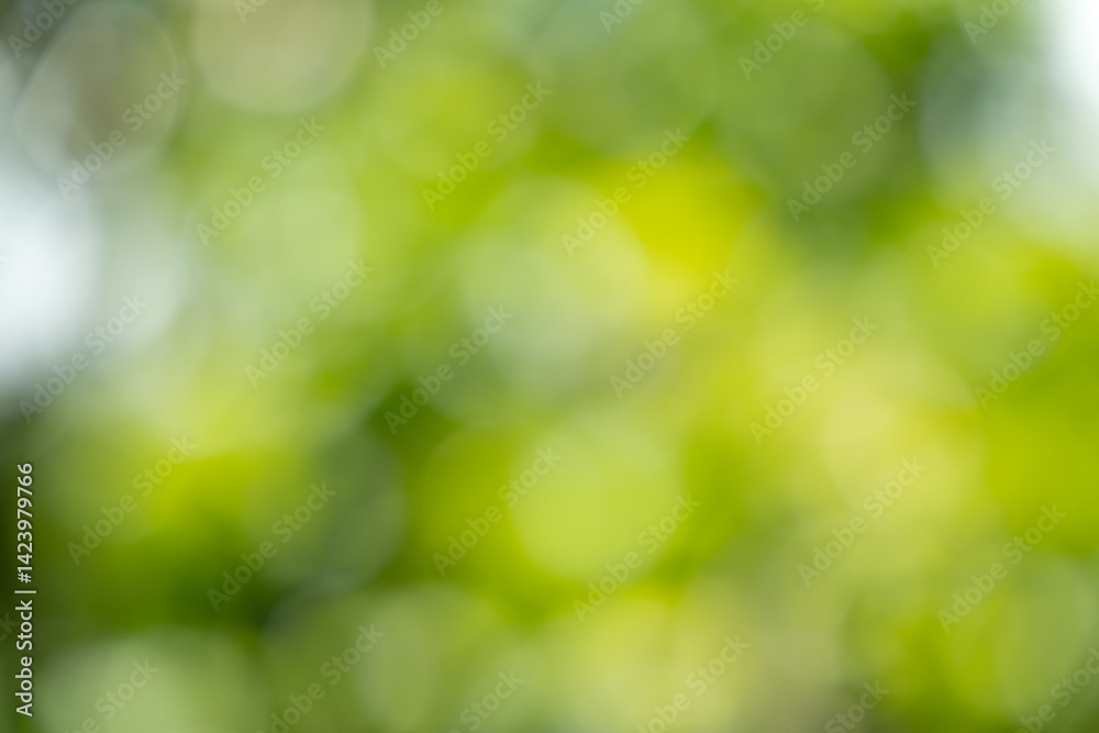Abstract Bokeh Background of Lush Green Leaves Abstract Bokeh Background of Lush Green Leaves