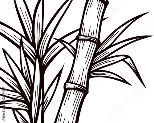 Black and white bamboo with detailed leaves and stalks.