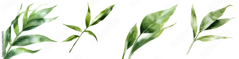 Obraz premium Elegant Green Leaves Isolated on White Background for Decoration