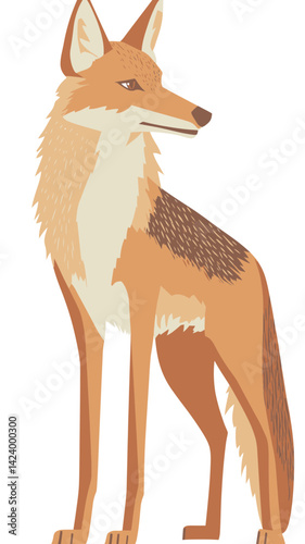 Wild Coyote Vector Illustration Isolated on White Background for Nature and Wildlife Concepts