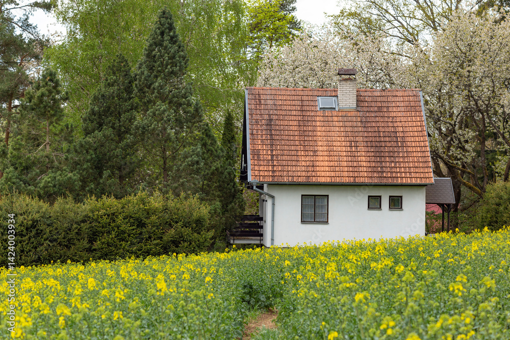 Houses on the edge of a rapeseed field, Czech Republic