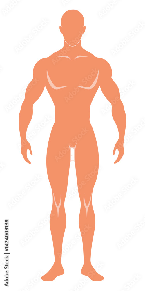 Fototapeta premium Full Body Silhouette of Muscular Man on White Background Design
