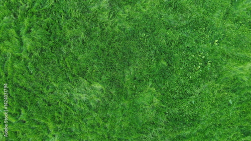Aerial view of Glan Gwan, Caernarfon, capturing detailed grass texture. This stunning bird's-eye perspective showcases the lush green countryside and charming caravan park.