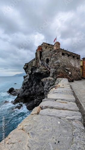 Obraz na płótnie CAMOGLI (Ligurie-Italie) w salonie