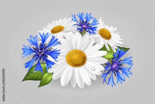 Daisies with blue cornflowers on a white background. Floral bouquet of daisies. Vector flower for decor