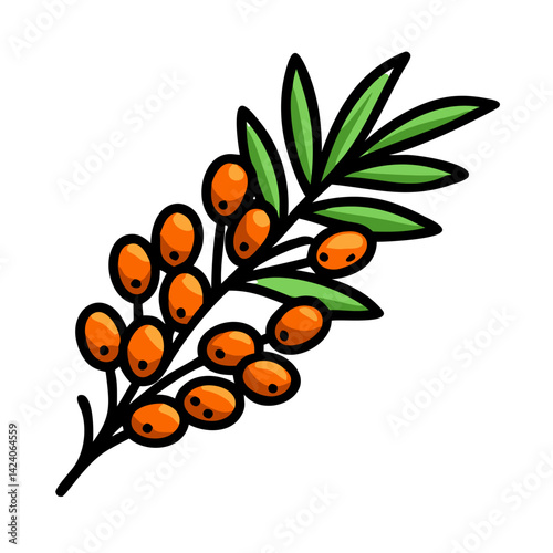 sea buckthorn icon, sea buckthorn vector illustration-simple illustration of sea buckthorn, perfect for sea buckthorn logos and icons