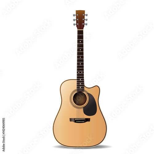 Accoustic guitar cutaway