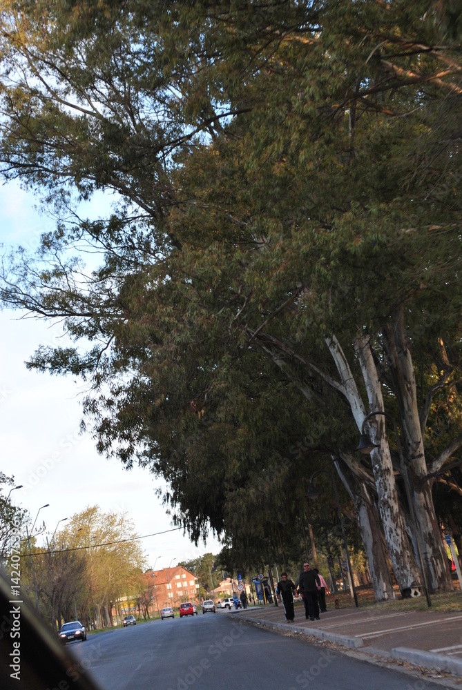 colonia de sacramento