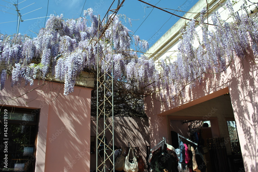 colonia de sacramento