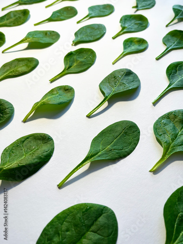 Spinach leaf isolated on white background. Fresh green baby spinach Top view. Flat lay.