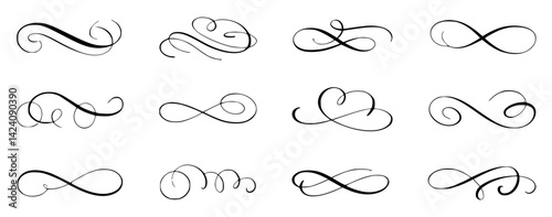 Elegant Hand Drawn Swirl and Flourish Ornament Set Illustration