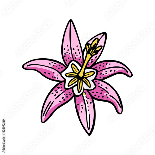 toad lily flower icon, toad lily flower vector illustration-simple illustration of toad lily flower, perfect for toad lily flower logos and icons photo