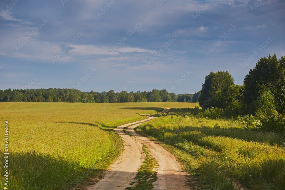 Fototapeta premium Beautiful summer landscape with dirt road and green meadows and blue sky