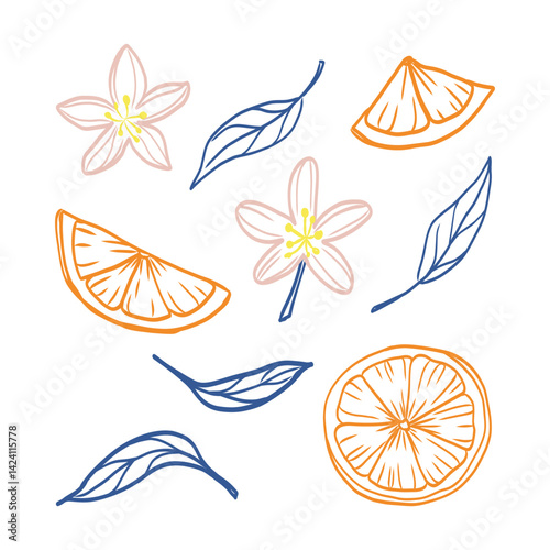 A drawing of fruit and flowers with a blue and orange background