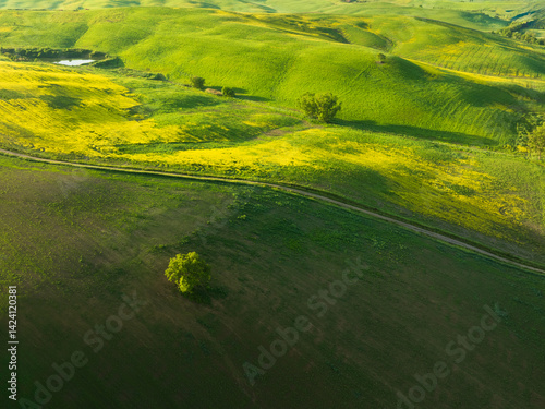 Tuscany Rolling hills with sunlight