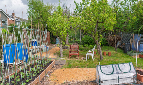 Wallpaper Mural On the Spring allotment Torontodigital.ca