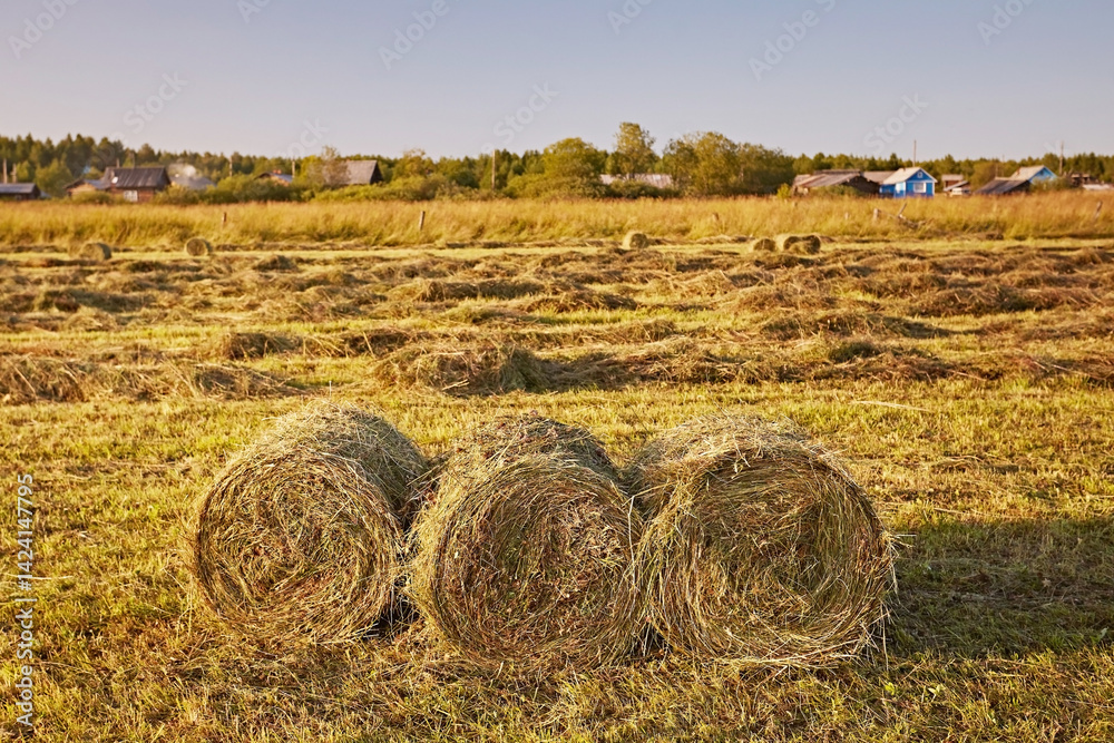 Εκτύπωση καμβά Small bales of hay on a mown meadow