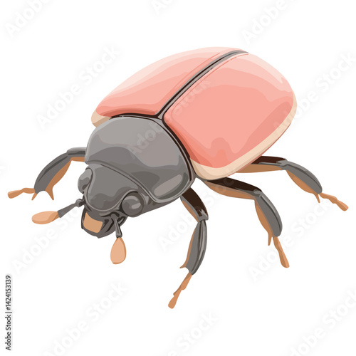 Scarab Beetle – Symbol of rebirth and good luck