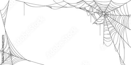 Spider web line art vector frame