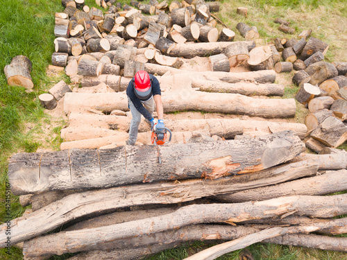 Lumberjack with a chainsaw cutting trees in the forest. Preparing firewood for winter. Top down view. Aerial view from drone
