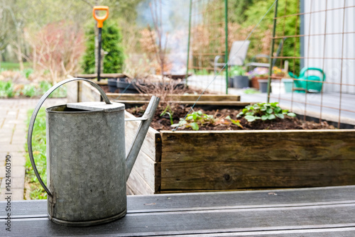 Close-up of a vintage metal watering can placed on a wooden deck near raised garden beds in a backyard garden. Early spring planting with fresh soil and young strawberry plants growing