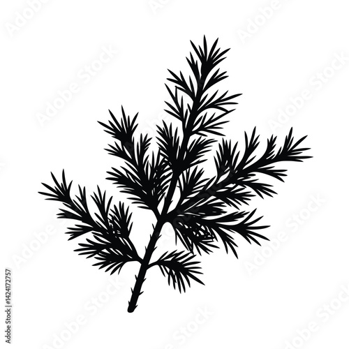 silhouette of a palm tree