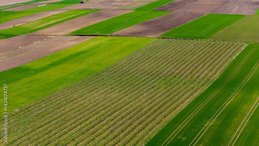 vibrant patchwork farmland landscape from above