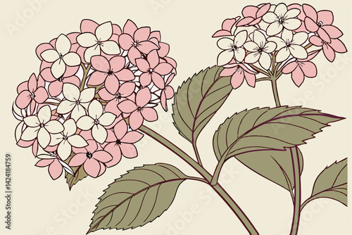 3 Hydrangea blossoms, pastel floral spheres, delicate petals, botanical illustration, soft color palette, flower clusters, garden variety, watercolor texture, spring blooms, nature study, floral arran
