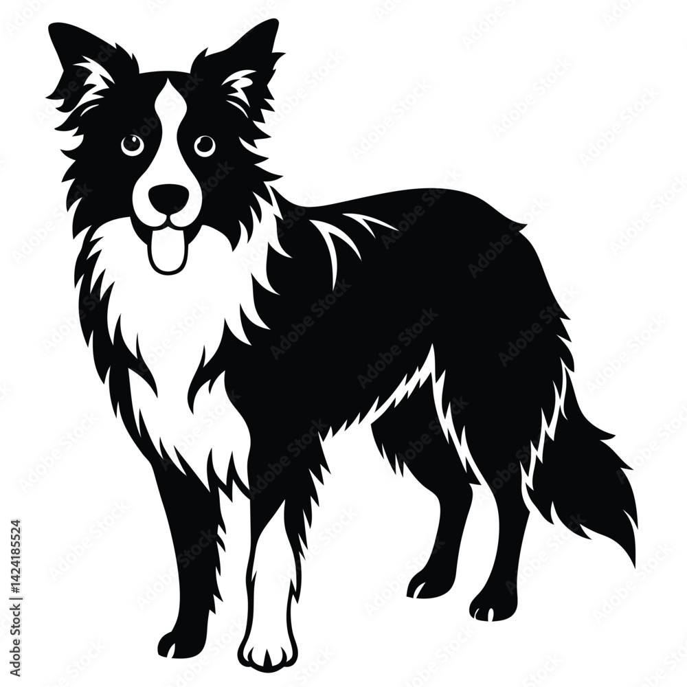 boorder collei vector boorder collei vector